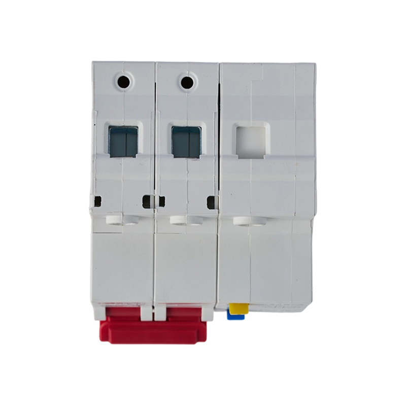 Disjoncteur miniature de fuite DZ47LE-63 D20